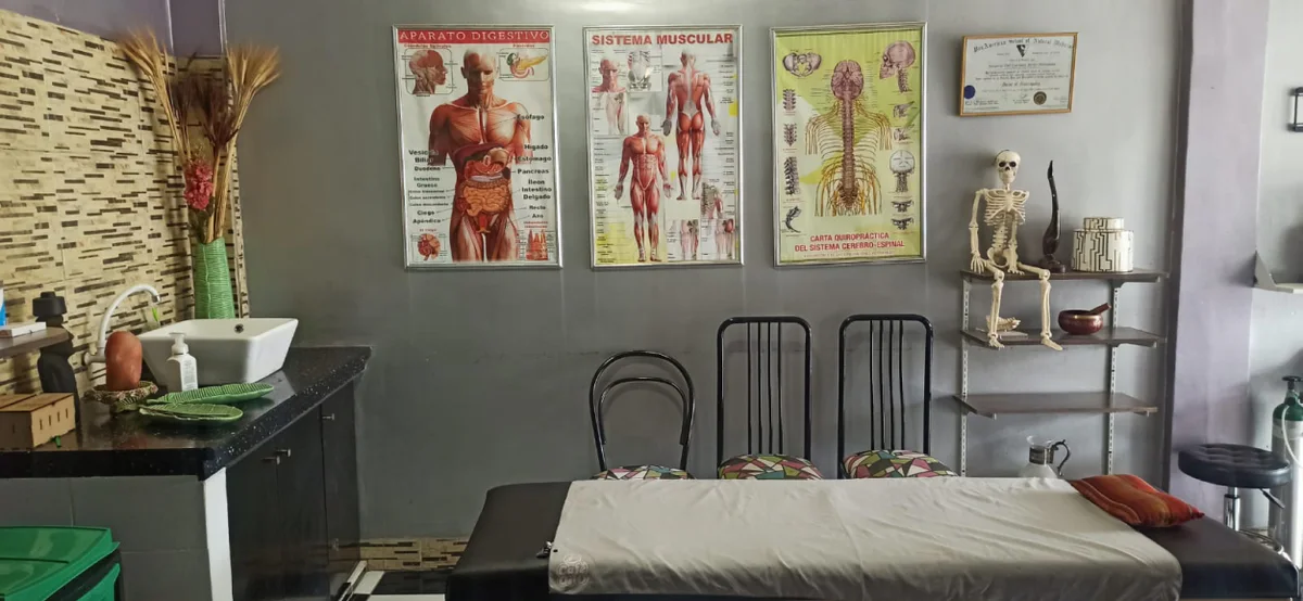 Sala de atención de SIRONA con camilla y material anatómico.